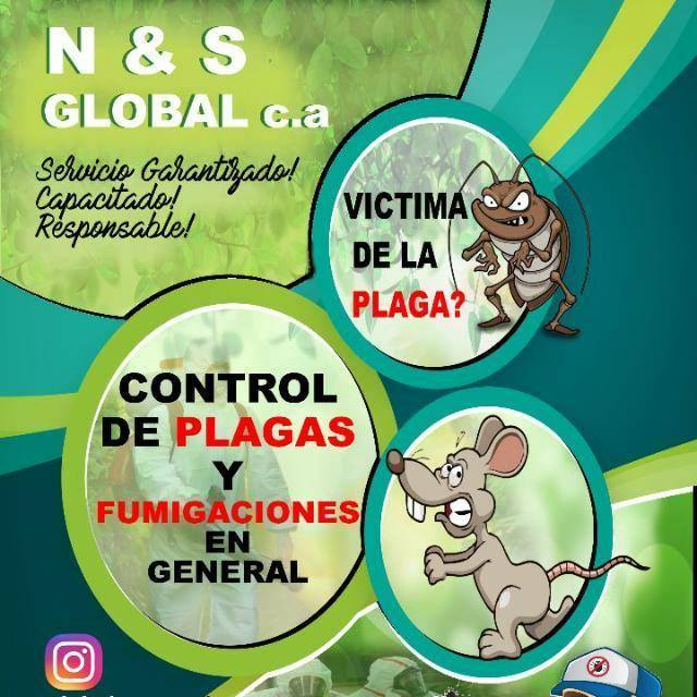 N&S Global, C.A.